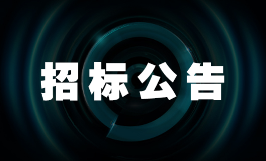 2025年jn江南小红书舆情优化项目 招标公告