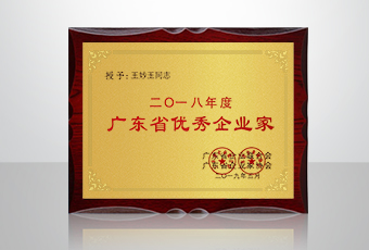 喜讯│jn江南·体育登录入口,集团总裁王妙玉再获年度广东省优秀企业家荣誉